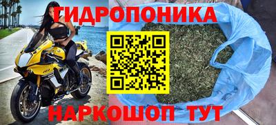 Альфа ПВП Сланцы