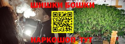 Альфа ПВП Сланцы